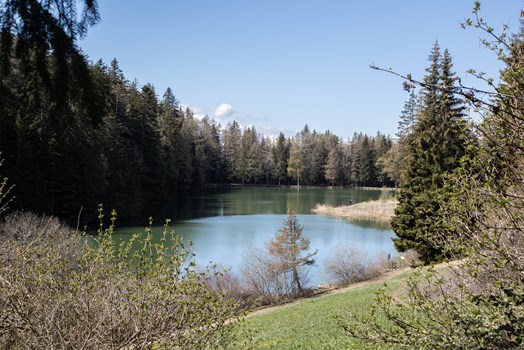 lac des miriouges a84i5216_resize