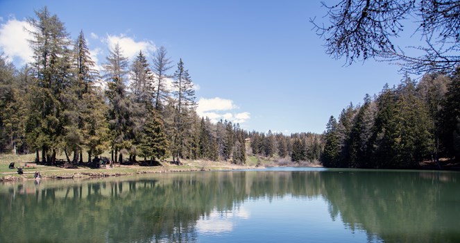 lac des miriouges a84i5327_resize