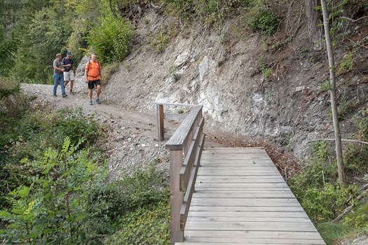 i_web_chemin des contrées a84i5254